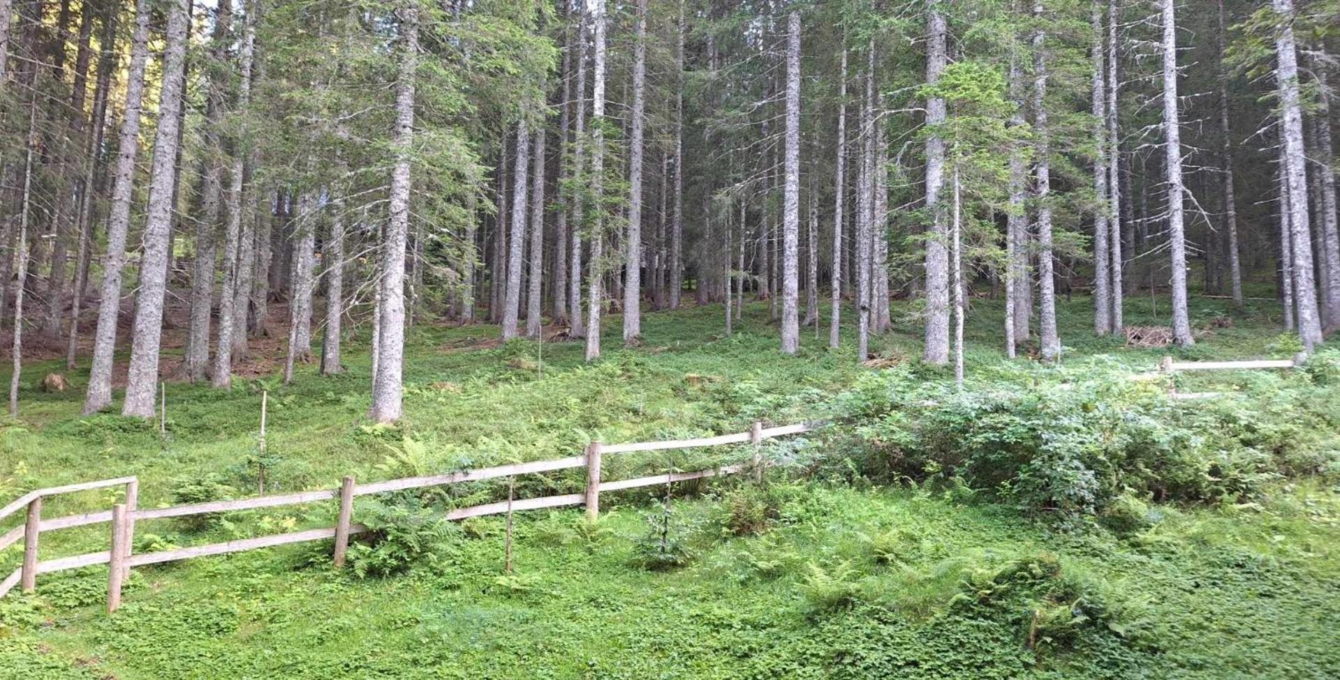 Apartma Anja Zgornje Gorje Buitenkant foto